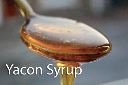 yacon syrup benefits